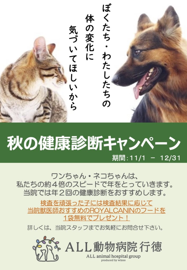 秋の健康診断キャンペーン 市川市 浦安市の動物病院 All動物病院行徳 皮膚科 眼科