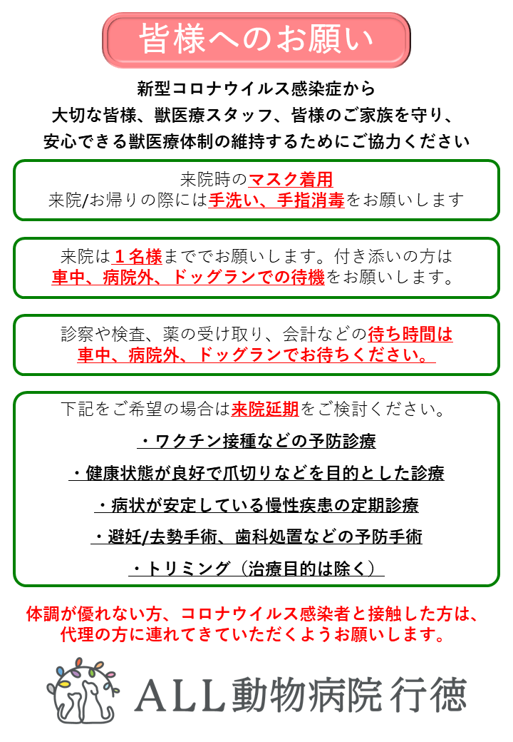 新型コロナウイルスに対する当院の取り組みについて 4 15現在 市川市 浦安市の動物病院 All動物病院行徳 皮膚科 眼科