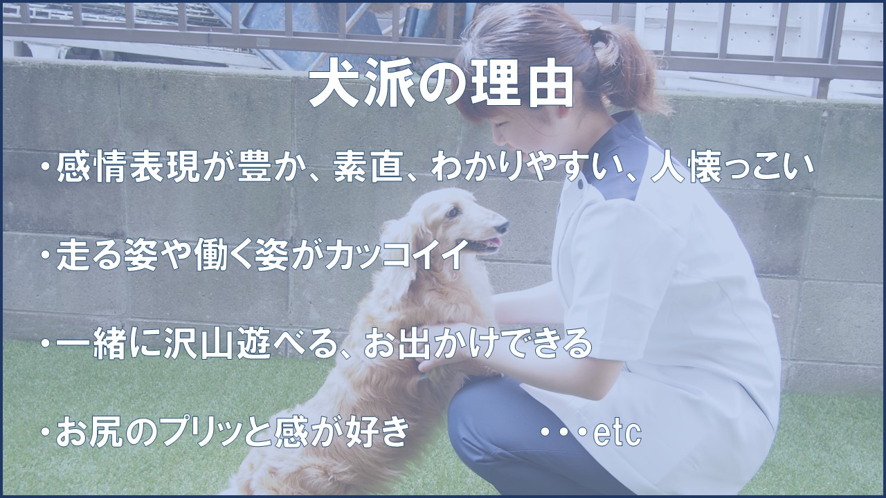 超安い 犬派猫派 どっちも好き派 ファッション雑貨 Orointegrated Coop