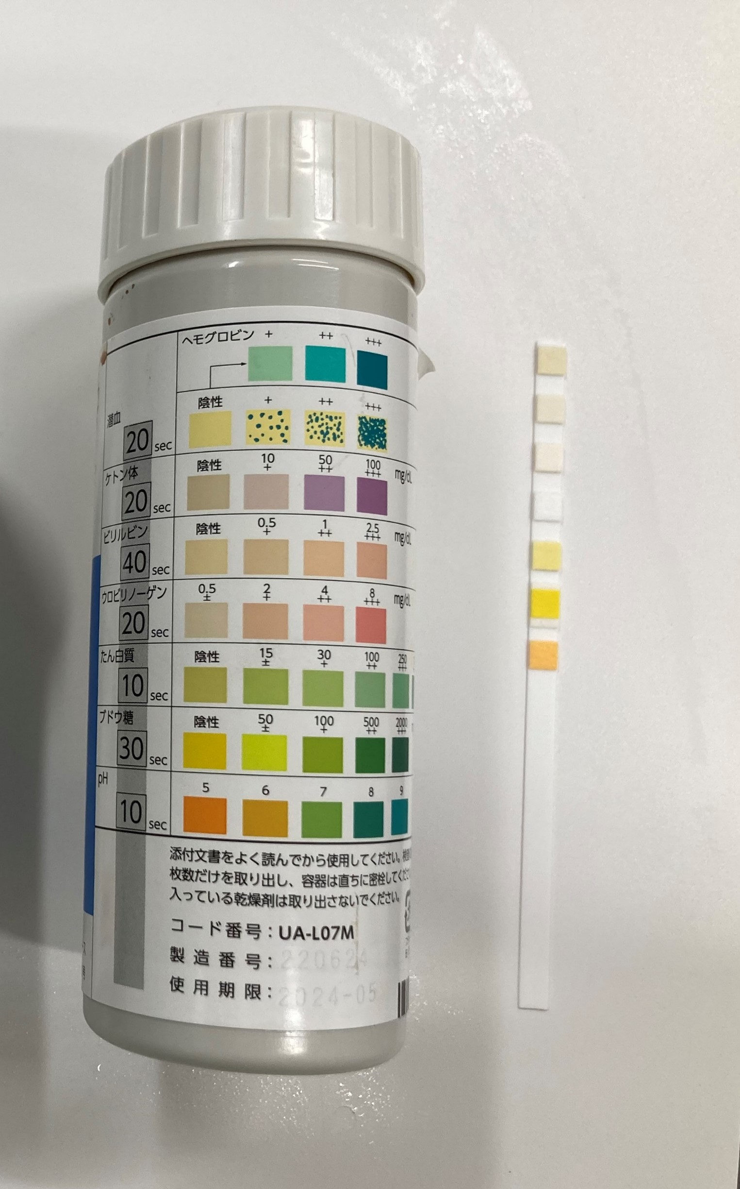 尿検査でなにがわかるの？実施するタイミングはいつ？ | 市川市・鎌ケ谷市の動物病院『ALL動物病院グループ』皮膚科/腫瘍科